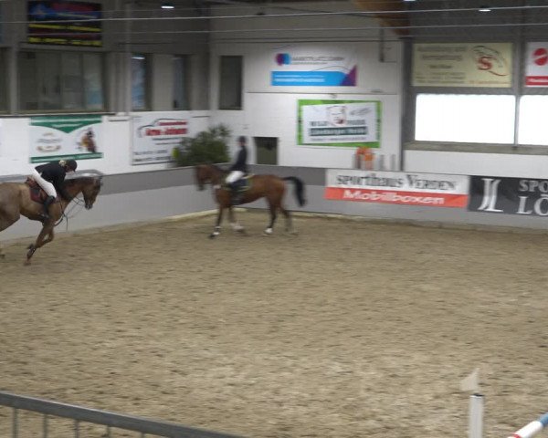 Reitturnier Luhmühlen 2021