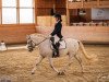 dressage horse Gracieux 5 (Camargue horse, 2016)