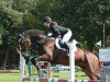 jumper Chester (German Sport Horse, 2004, from Chacon)