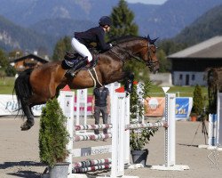 jumper Nino van het Arendonk (Belgian Warmblood, 2014, from Numero Uno)