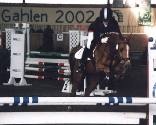 horse Flic 5 (Welsh Partbred, 1995, from Bokkesprong Czardas)