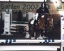 Pferd Flic 5 (Welsh Partbred, 1995, von Bokkesprong Czardas)