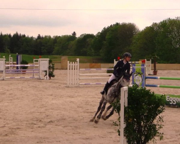 Reitturnier Oberfrauendorf 2017