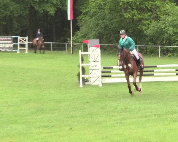 Reitturnier Stukenbrock 2017