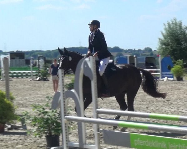 Reitturnier Burscheid-Paffenlöh 2017