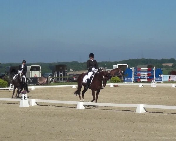 Reitturnier Burscheid-Paffenlöh 2017