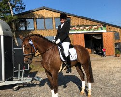 dressage horse Soleil Dête H (Hanoverian, 2013, from Savoy)