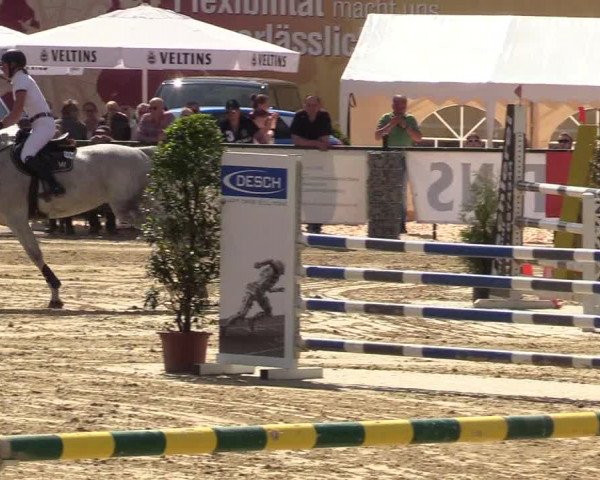 Reitturnier Hellefeld 2017