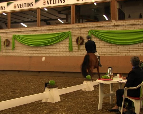 Reitturnier Hellefeld 2017