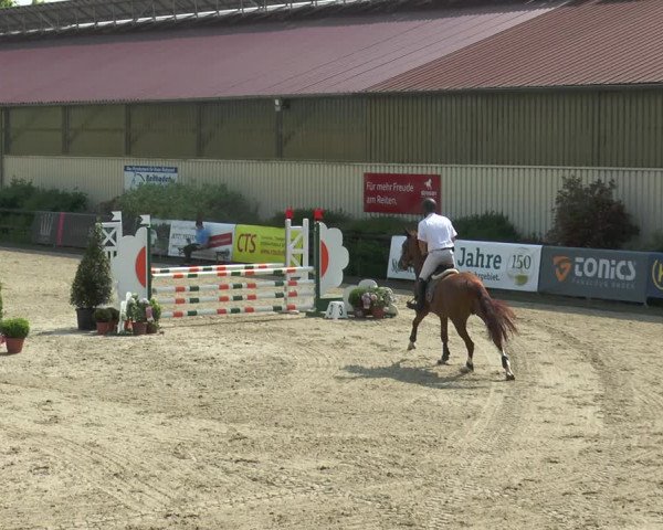 Reitturnier Kirchhellen/Stall Dieckmann 2017