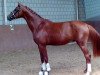 dressage horse Fürst Ovation (Hanoverian, 2015, from Fürst Nymphenburg)