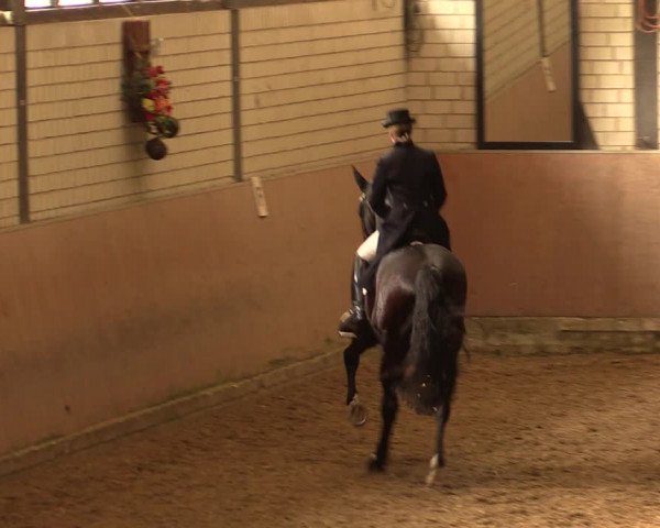 Reitturnier Hamm-Rhynern 2017