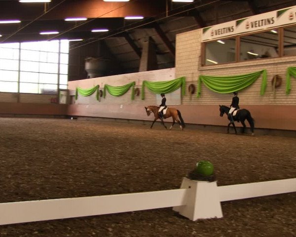 Reitturnier Hellefeld 2017