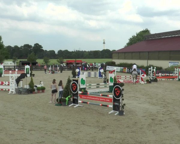 Reitturnier Kirchhellen/Stall Dieckmann 2017