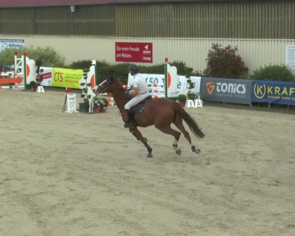 Reitturnier Kirchhellen/Stall Dieckmann 2017