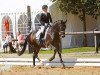 dressage horse Royal Lady 53 (Oldenburg, 2013, from Rubinio NRW)