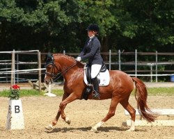 dressage horse Crackers Felicity (German Riding Pony, 2009, from FS Cracker Jack)