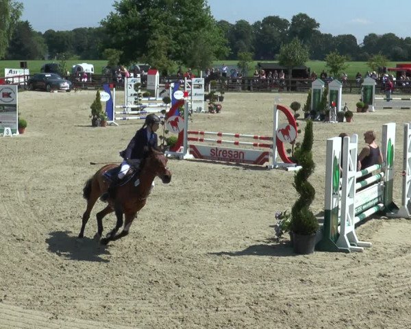 Reitturnier Kirchhellen/Stall Dieckmann 2017
