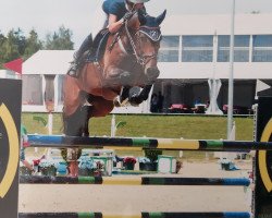 jumper Cazallo du Praz Bozon (Swiss Warmblood, 2013, from Concord Z)