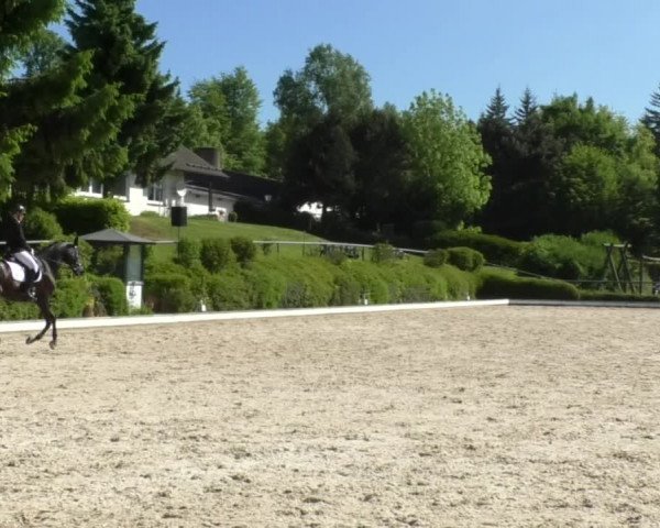 Reitturnier Kurtscheid 2017