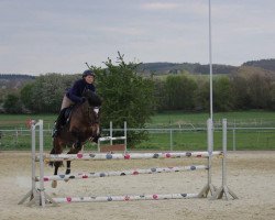 dressage horse Happy Horst (unknown, 2008)