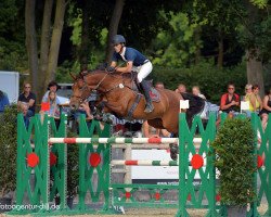 jumper Clintin (Hessisches Warmblut, 2009, from Clinton H)