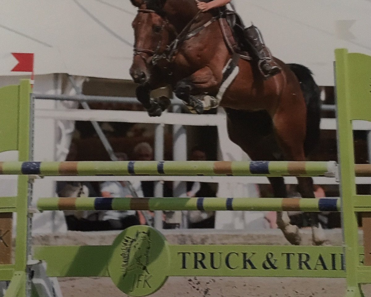 broodmare Loxy Lady du Tabeillon CH (Swiss Warmblood, 2011, from Loxy de La Reselle CH)