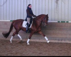 broodmare Flower Passion (Westphalian, 2008, from Fürst Piccolo)