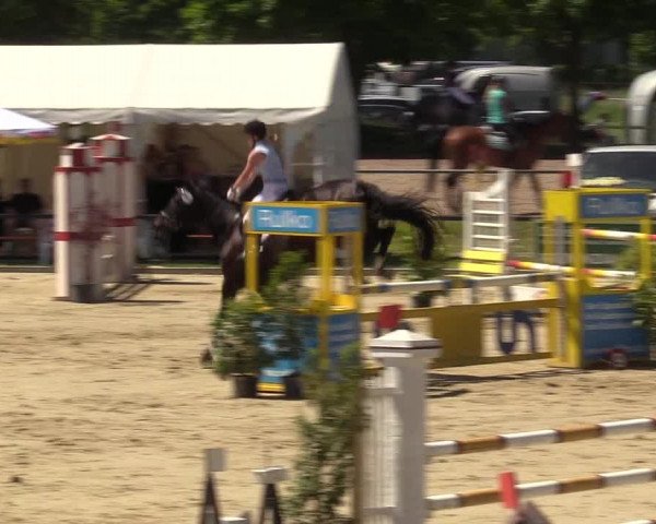 Reitturnier Hamm-Rhynern 2017
