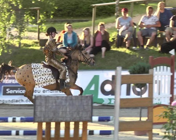 Reitturnier Kurtscheid 2017