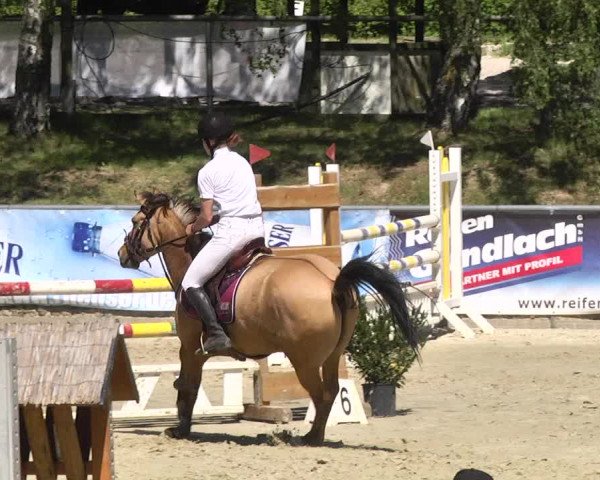 Reitturnier Kurtscheid 2017