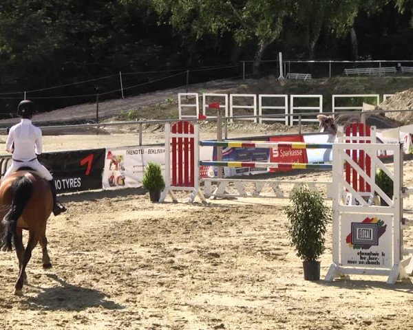 Reitturnier Kurtscheid 2017