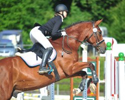 dressage horse Citero (Swedish Warmblood, 2009, from Carte d'Or)