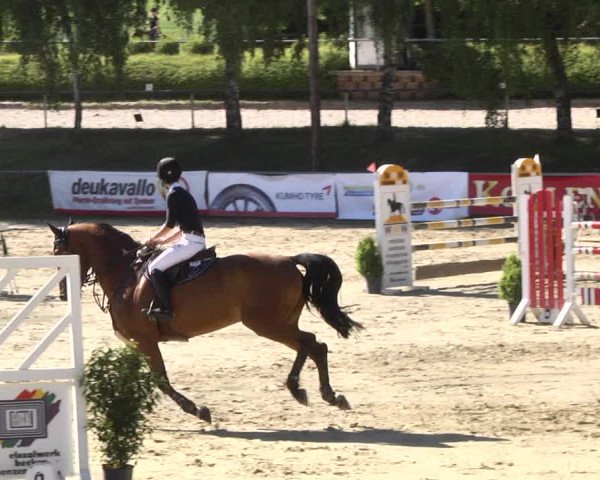 Reitturnier Kurtscheid 2017