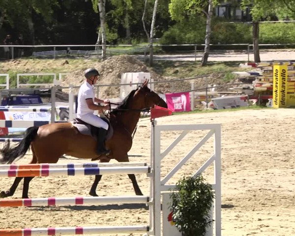 Reitturnier Kurtscheid 2017