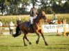 dressage horse Ruben 44 (Oldenburg, 2005, from Rousseau)