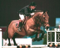 stallion Lauriston (Oldenburg, 1993, from Liberty M)