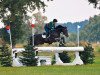 jumper Bandit 436 (Hanoverian, 2008, from Betel xx)