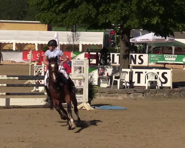 Reitturnier Hellefeld 2017