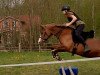 dressage horse Double Girl (German Riding Pony, 2002, from Dijon S)