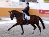 dressage horse Don Carlos (Westphalian, 1999, from Donnerhall)