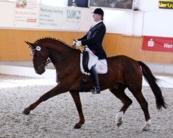 dressage horse Don Carlos (Westphalian, 1999, from Donnerhall)