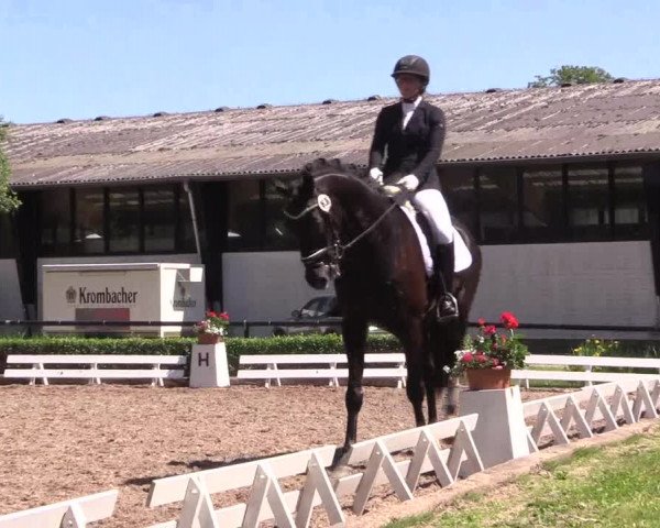 Reitturnier Hamm-Rhynern 2017