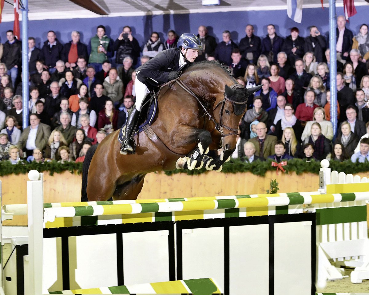 stallion Action Blue (Oldenburg show jumper, 2012, from Action-Breaker)