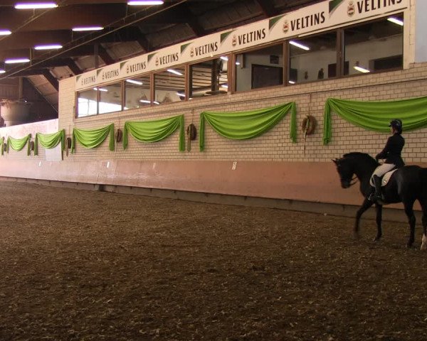 Reitturnier Hellefeld 2017