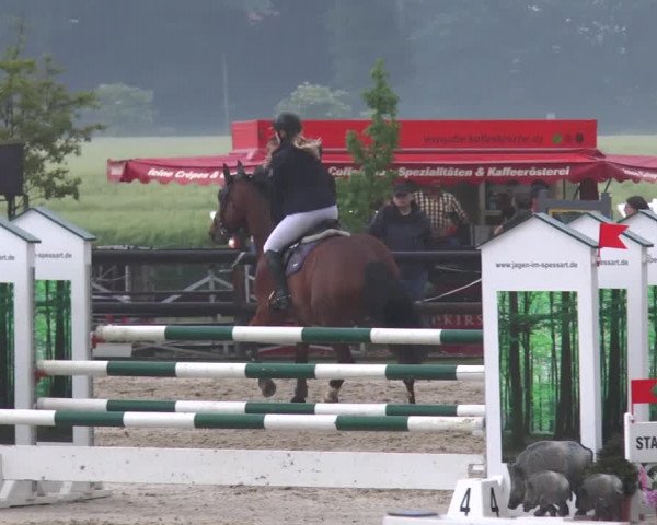 Reitturnier Kirchhellen/Stall Dieckmann 2017