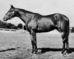 stallion Case Ace xx (Thoroughbred, 1934, from Teddy xx)