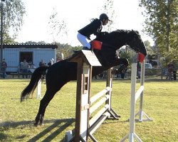 broodmare Francesca 46 (Trakehner, 2001, from Ursprung)