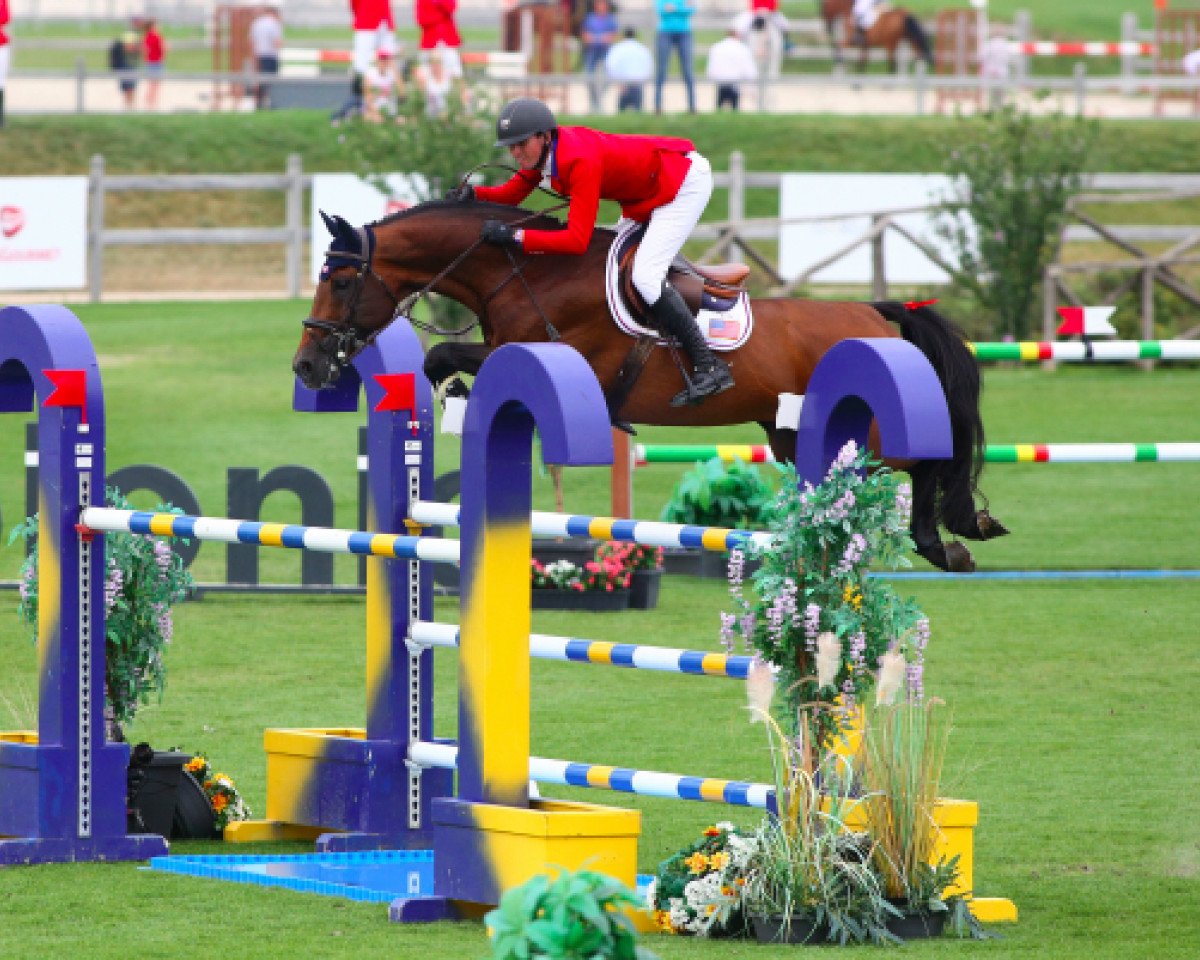 Springpferd Zerlin M (KWPN (Niederländisches Warmblut), 2004, von Berlin)