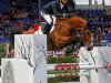 Springpferd Icarus (Belgisches Warmblut, 2008, von Querlybet Hero)